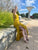 Honesty Fringe Dress: Citrus / L